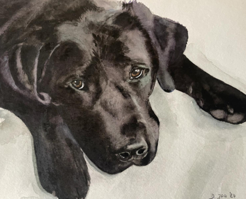 small watercolor painting of a black labrador - dog painting