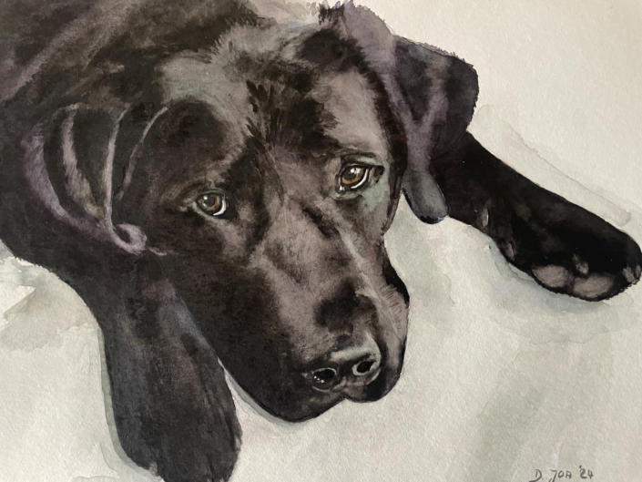 small watercolor painting of a black labrador - dog painting