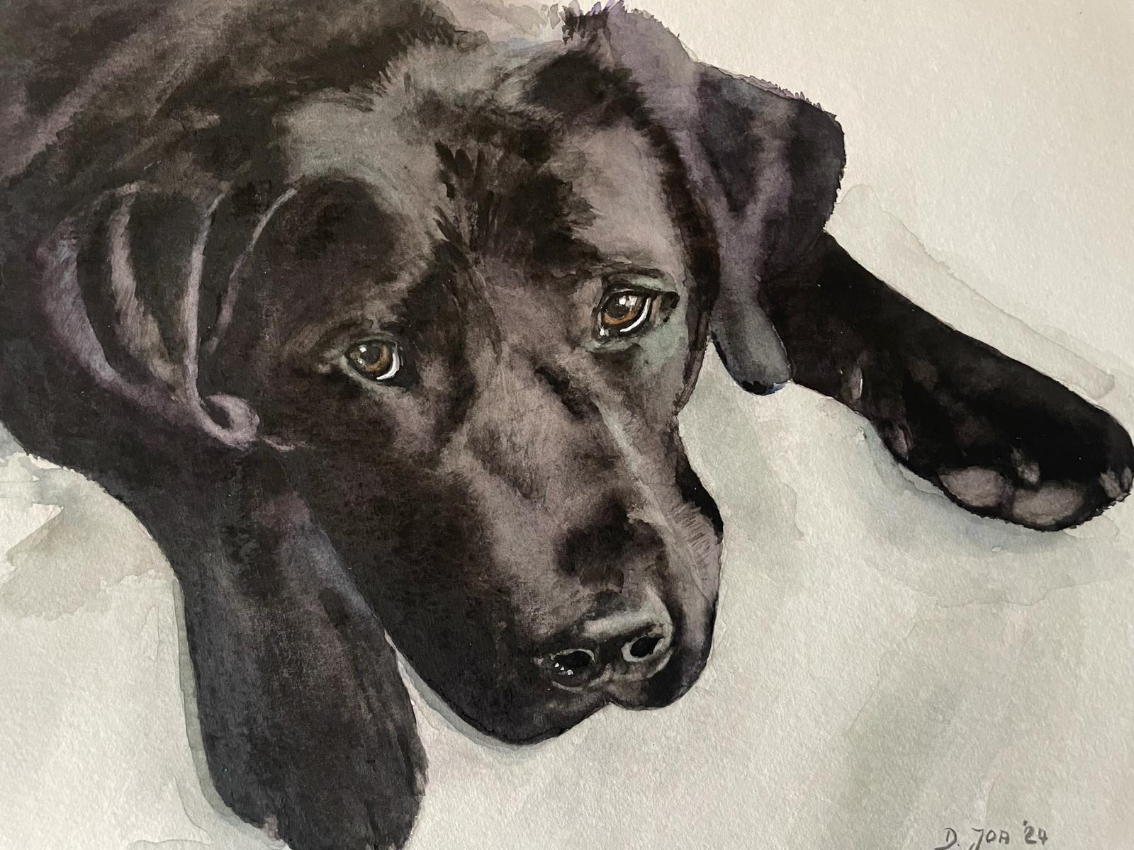 small watercolor painting of a black labrador - dog painting