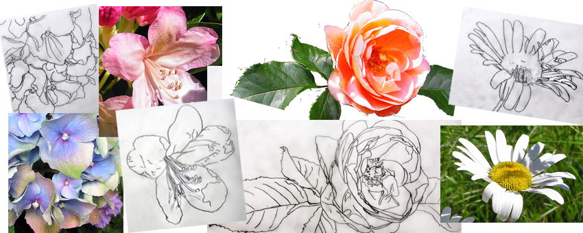 Reference Material Video Masterclass Paint stunning flowers Reference Material Video Masterclass Paint stunning flowers