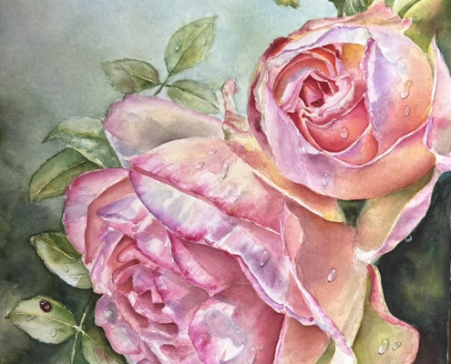 Eden Rose in watercolor