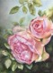 Eden Rose in watercolor