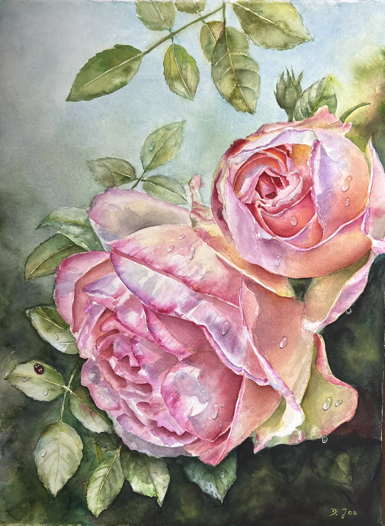 Eden Rose in watercolor