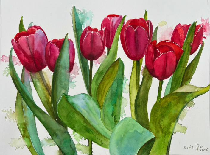 Flower paintings in watercolor and oil - tulips, tulip field