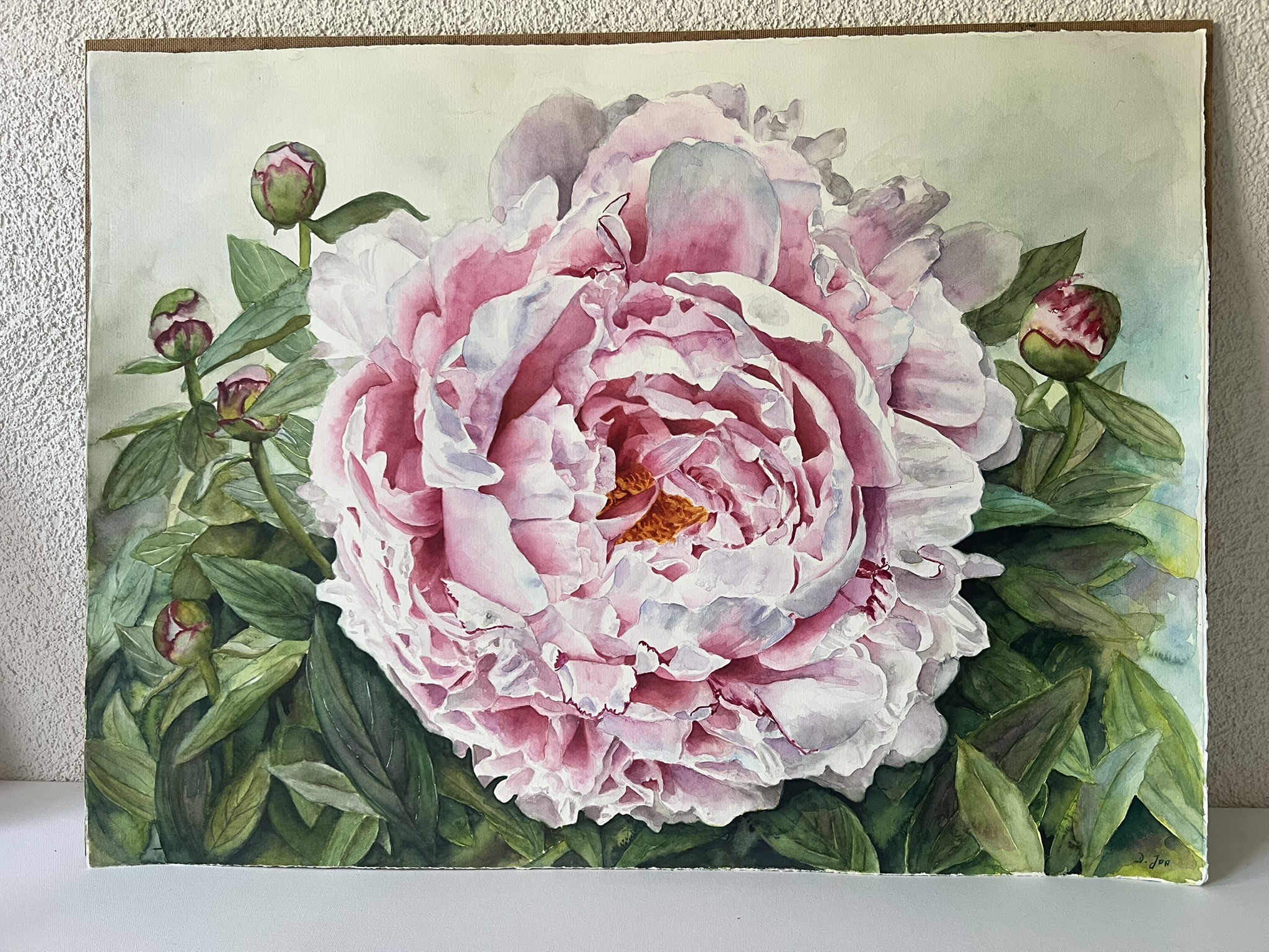Ein Versprechen des Sommers – Großformatiges Original-Aquarell einer rosa Pfingstrose – Bild 2