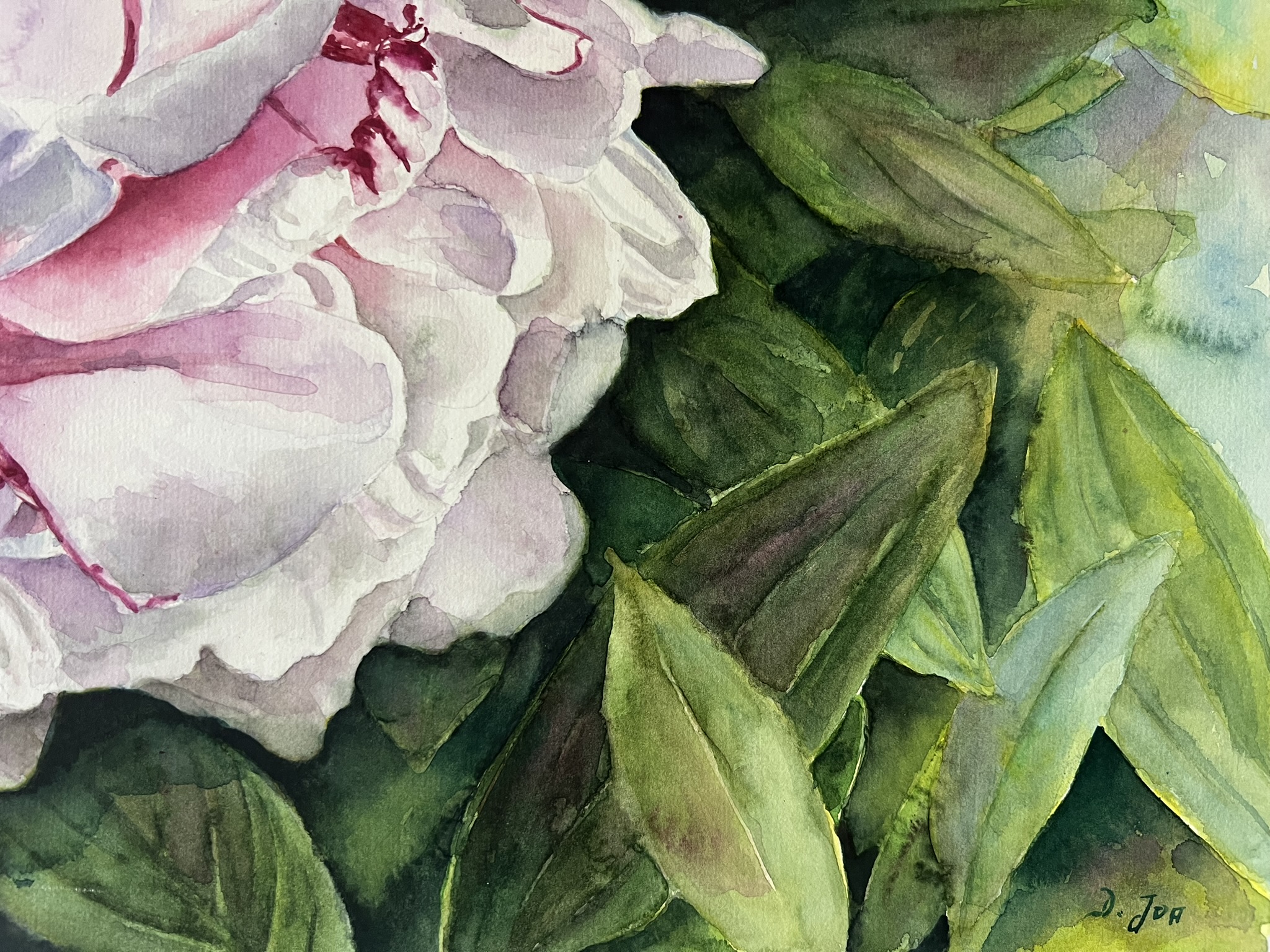 Ein Versprechen des Sommers – Großformatiges Original-Aquarell einer rosa Pfingstrose – Bild 5