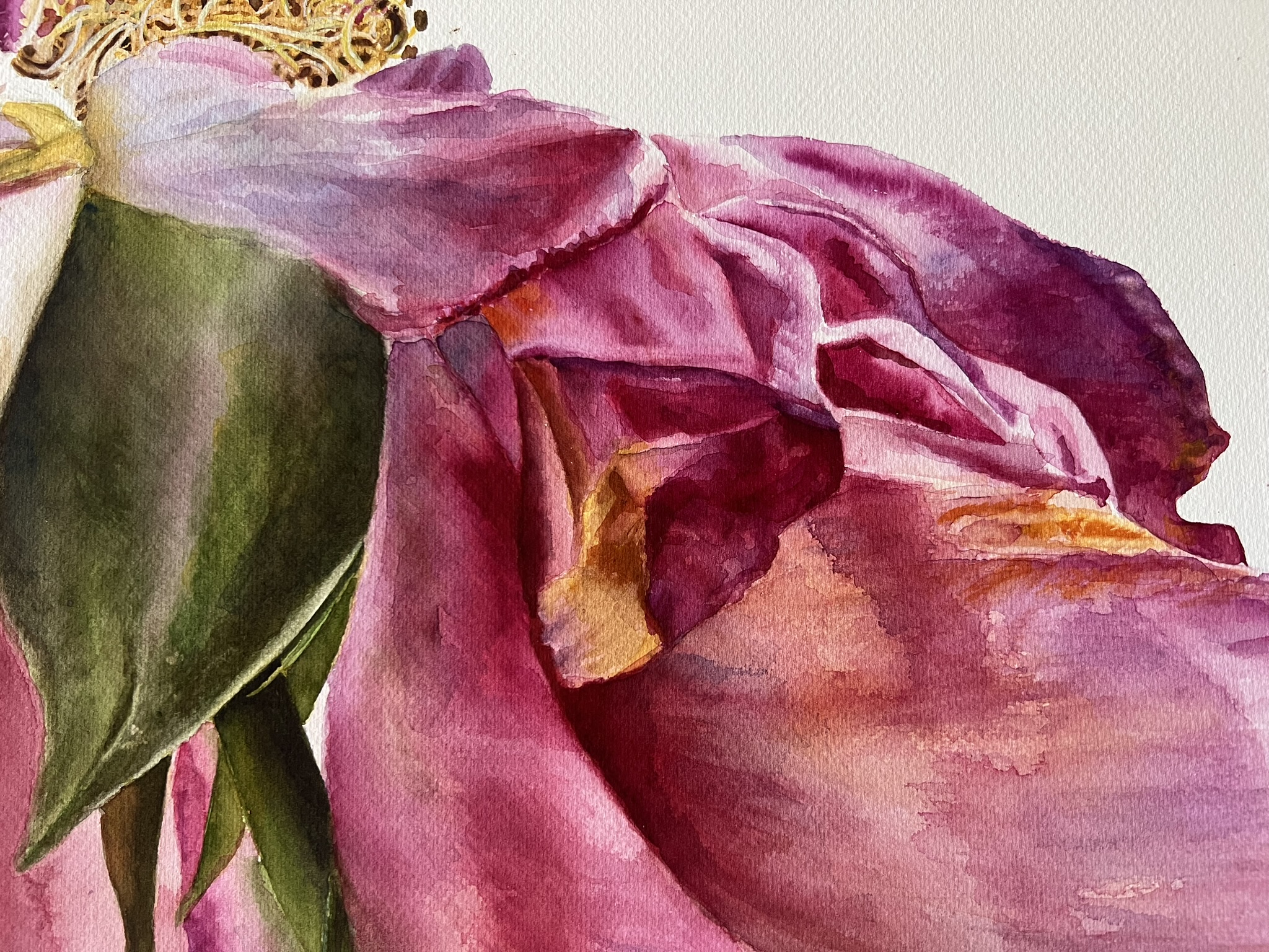 Der letzte Tanz einer Rose – Großformatiges Original-Aquarell – Bild 2