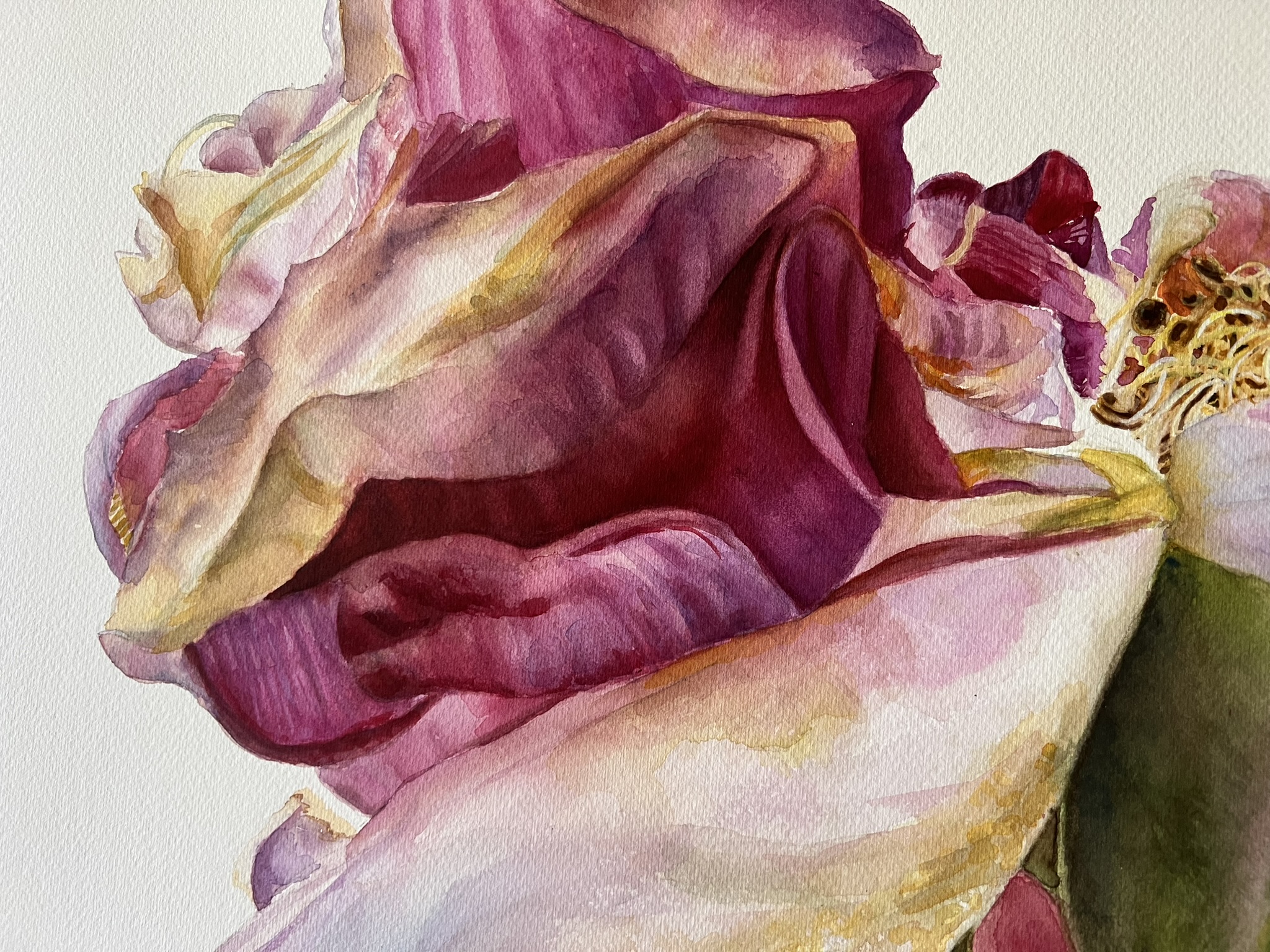 Der letzte Tanz einer Rose – Großformatiges Original-Aquarell – Bild 5