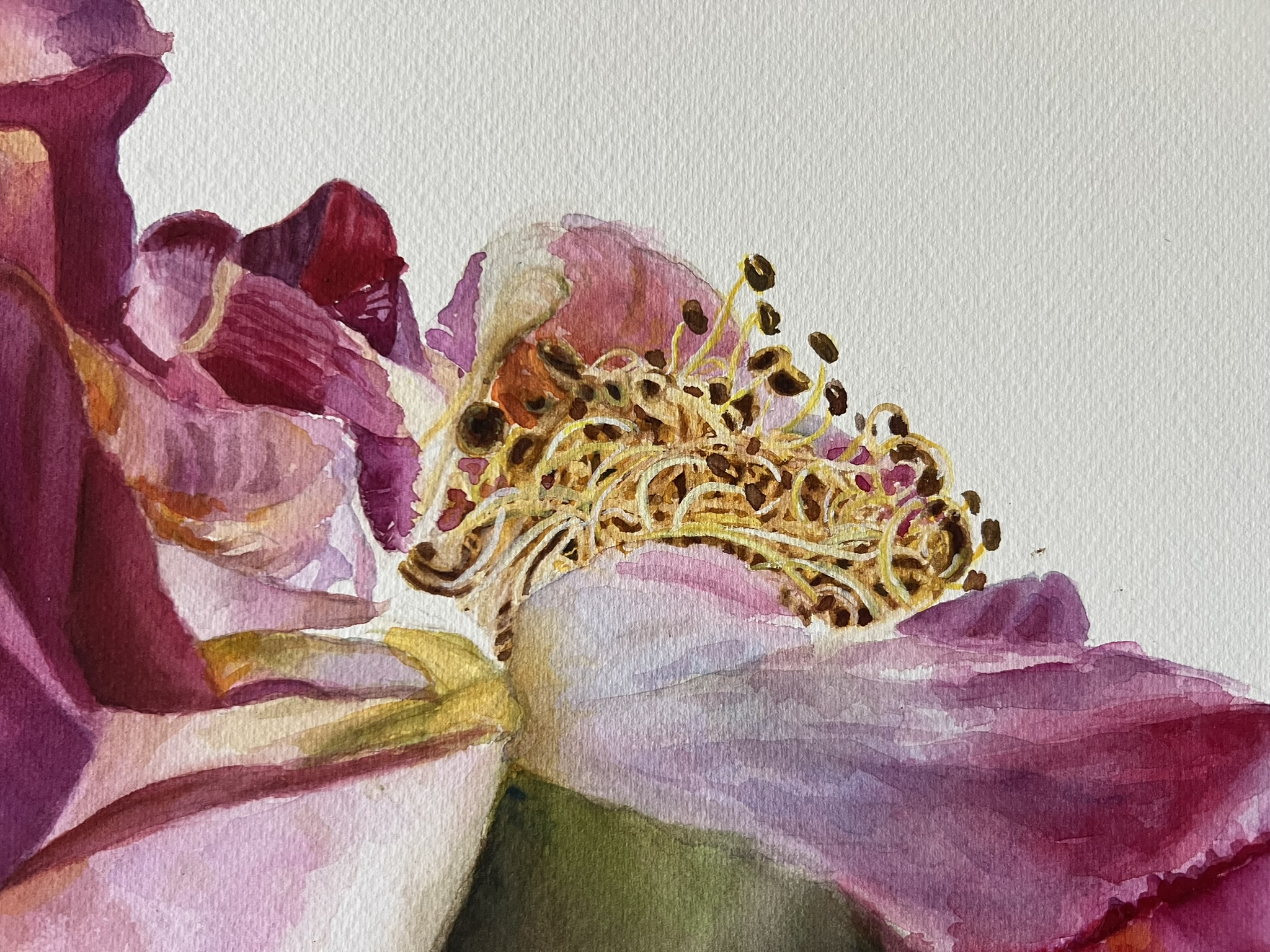 Der letzte Tanz einer Rose – Großformatiges Original-Aquarell – Bild 4