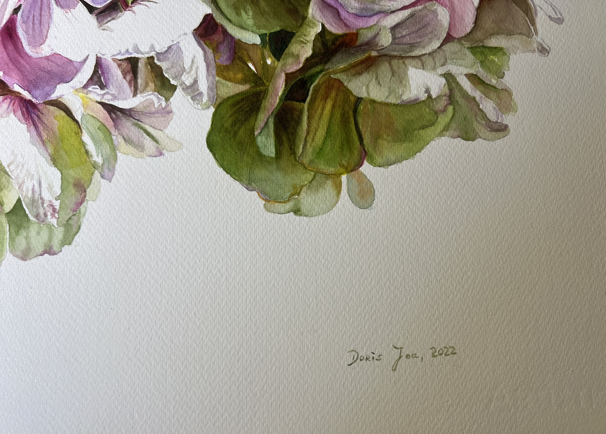 Zwei Blüten, ein Sommer – Großformatiges Hortensien-Aquarell – Bild 12