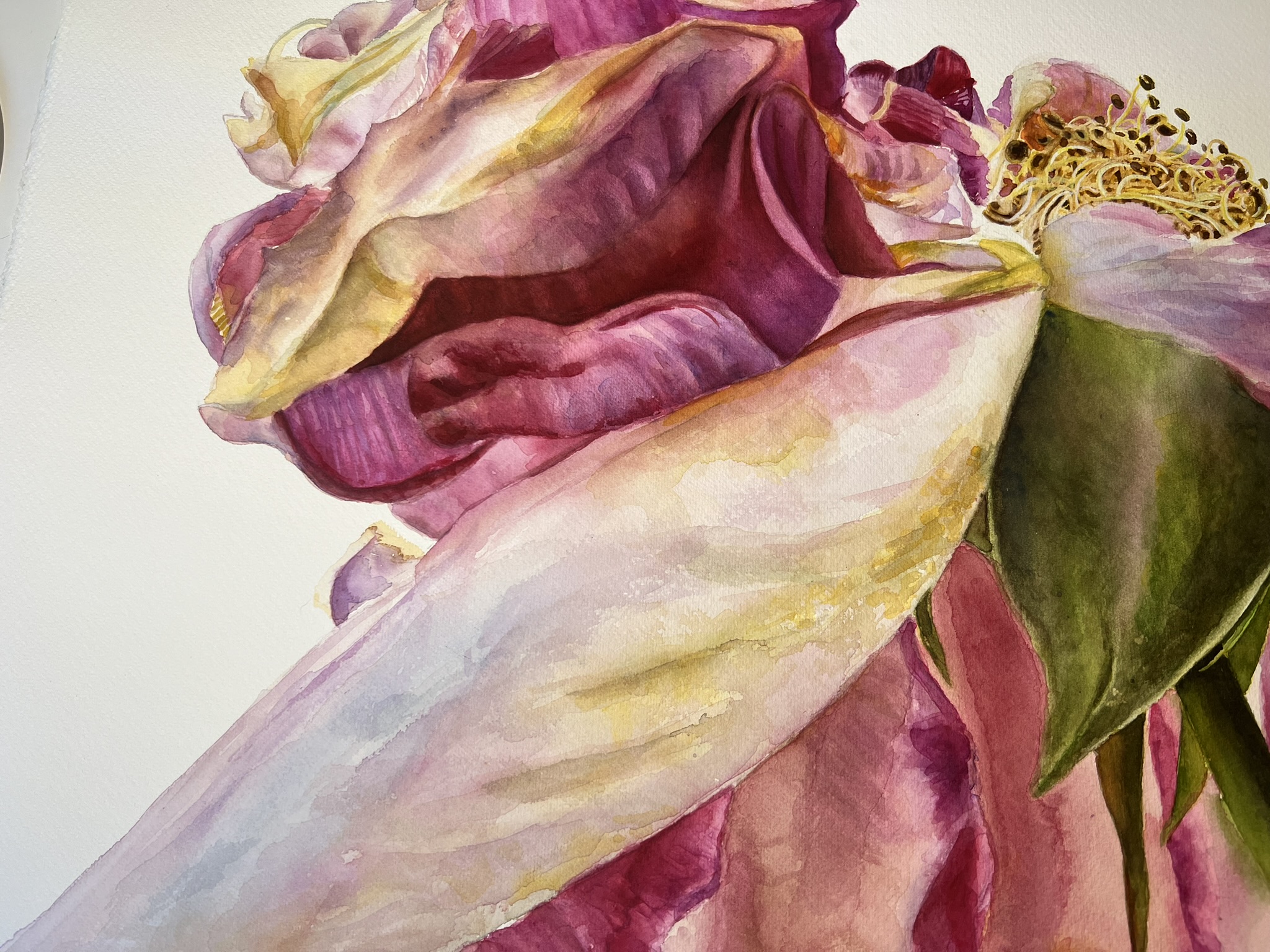 Der letzte Tanz einer Rose – Großformatiges Original-Aquarell – Bild 6