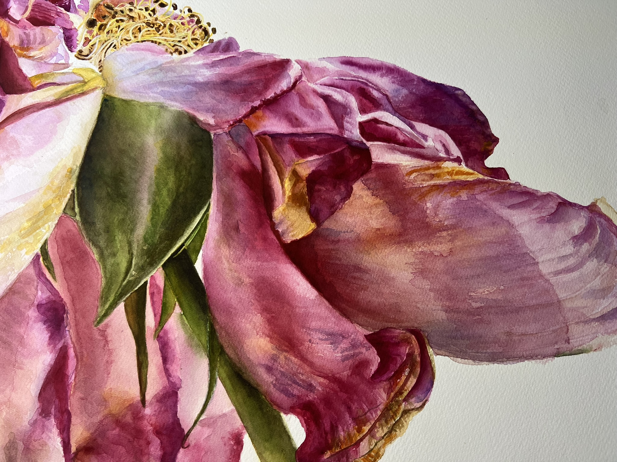 Der letzte Tanz einer Rose – Großformatiges Original-Aquarell – Bild 9
