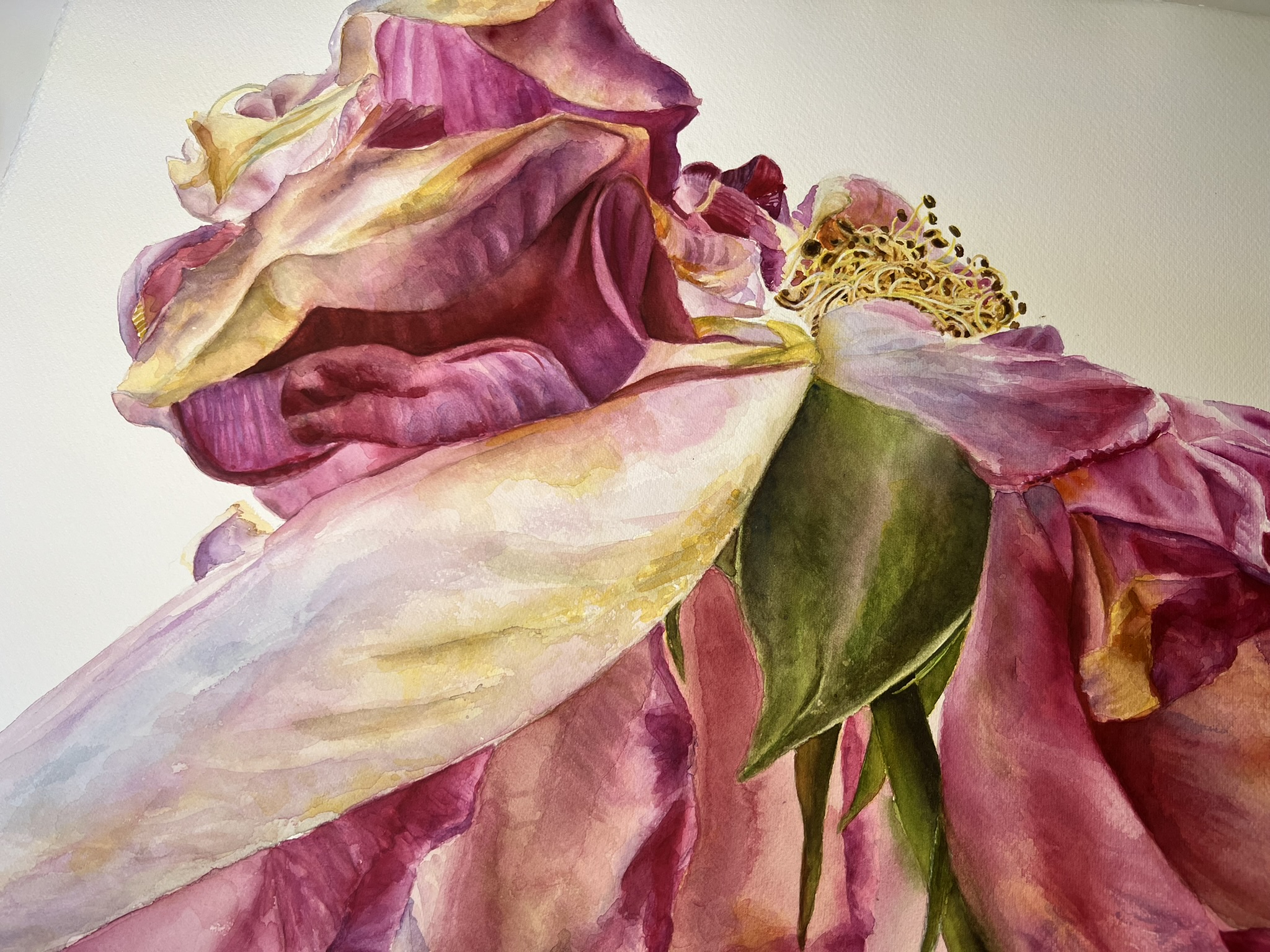 Der letzte Tanz einer Rose – Großformatiges Original-Aquarell – Bild 10