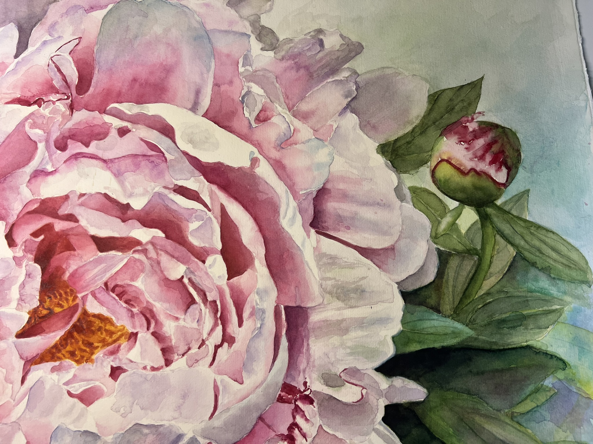 Ein Versprechen des Sommers – Großformatiges Original-Aquarell einer rosa Pfingstrose – Bild 7