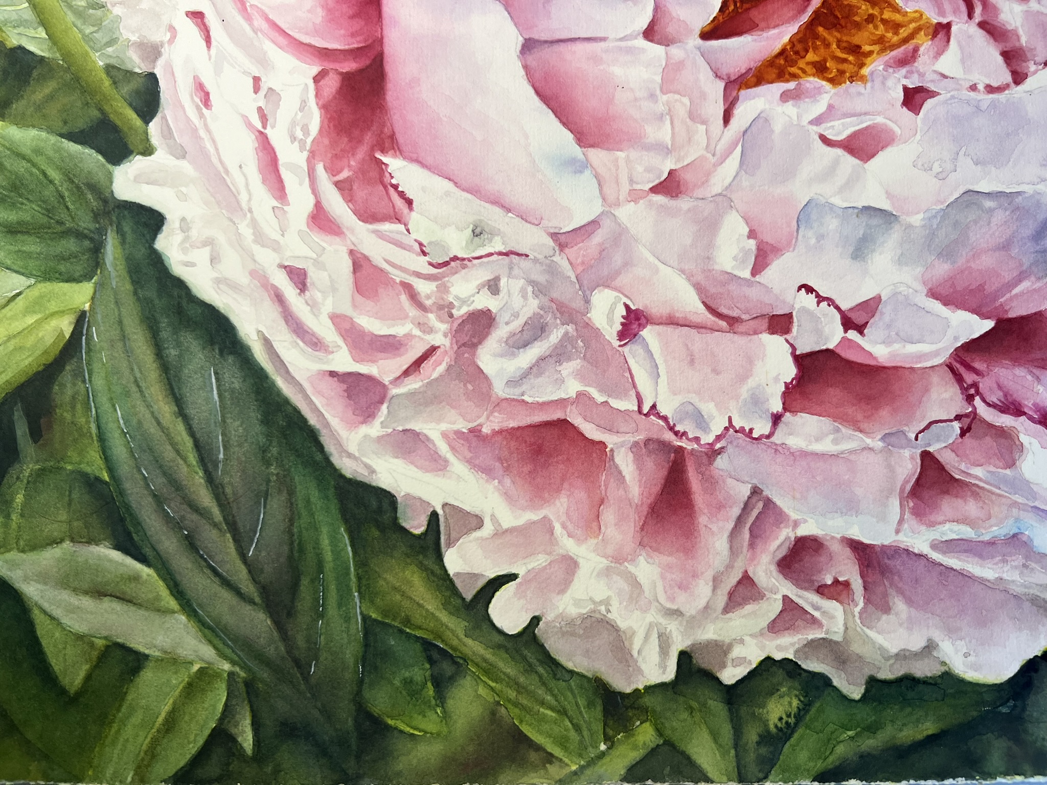 Ein Versprechen des Sommers – Großformatiges Original-Aquarell einer rosa Pfingstrose – Bild 9