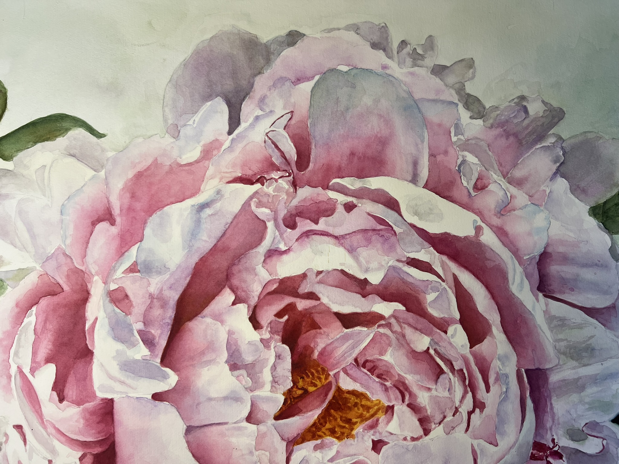 Ein Versprechen des Sommers – Großformatiges Original-Aquarell einer rosa Pfingstrose – Bild 10