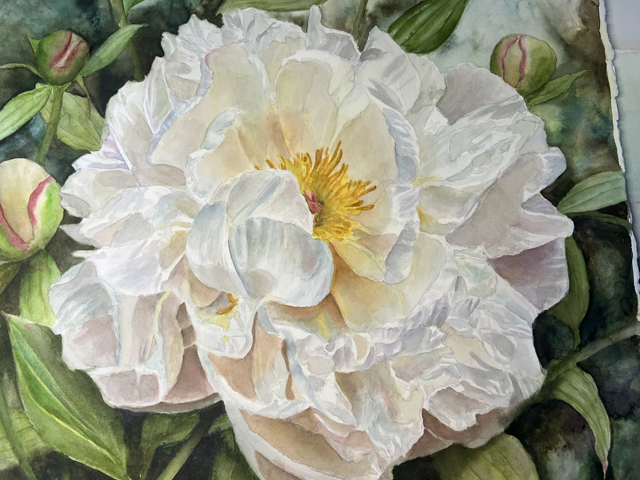 Wo Licht zur Blüte wird – Großformatiges Original-Aquarell einer weißen Pfingstrose – Bild 3
