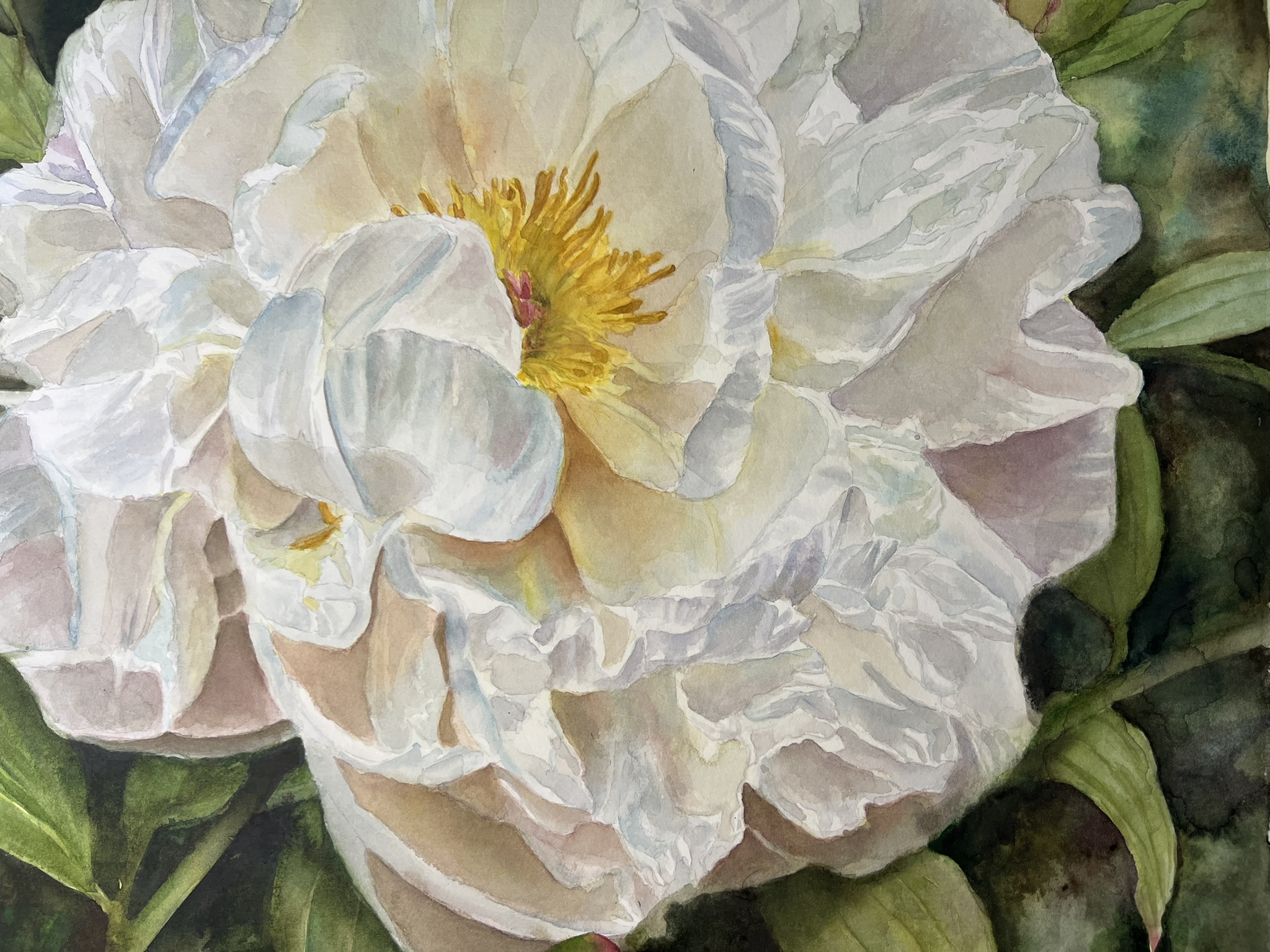 Wo Licht zur Blüte wird – Großformatiges Original-Aquarell einer weißen Pfingstrose – Bild 5