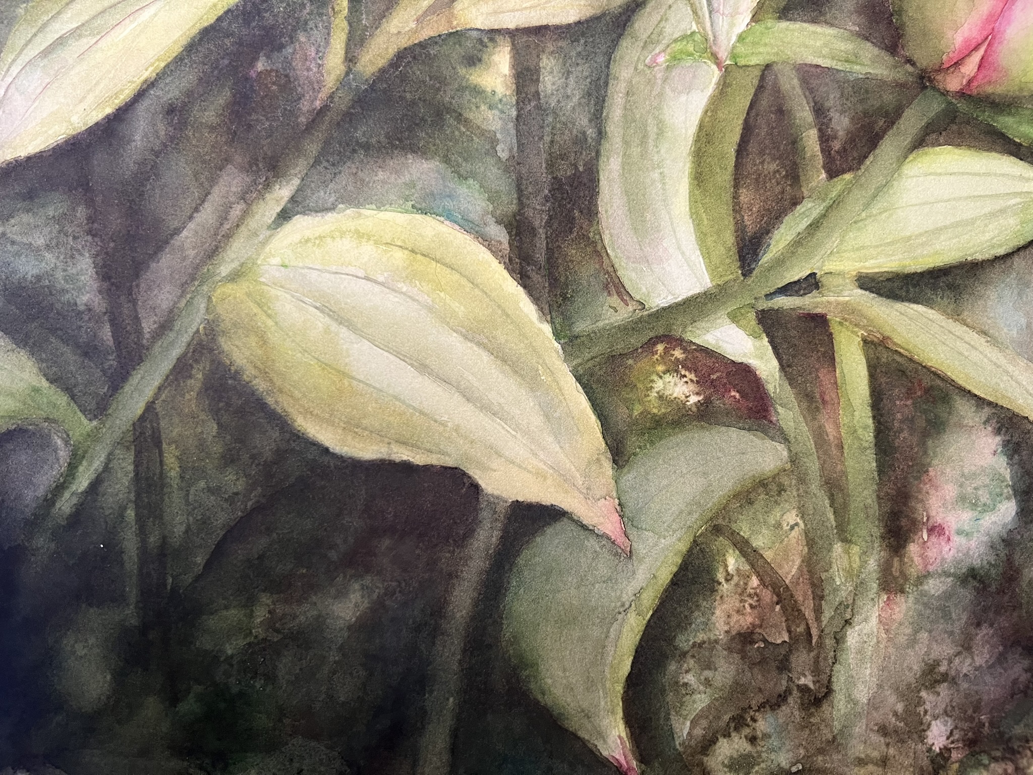 Wo Licht zur Blüte wird – Großformatiges Original-Aquarell einer weißen Pfingstrose – Bild 8