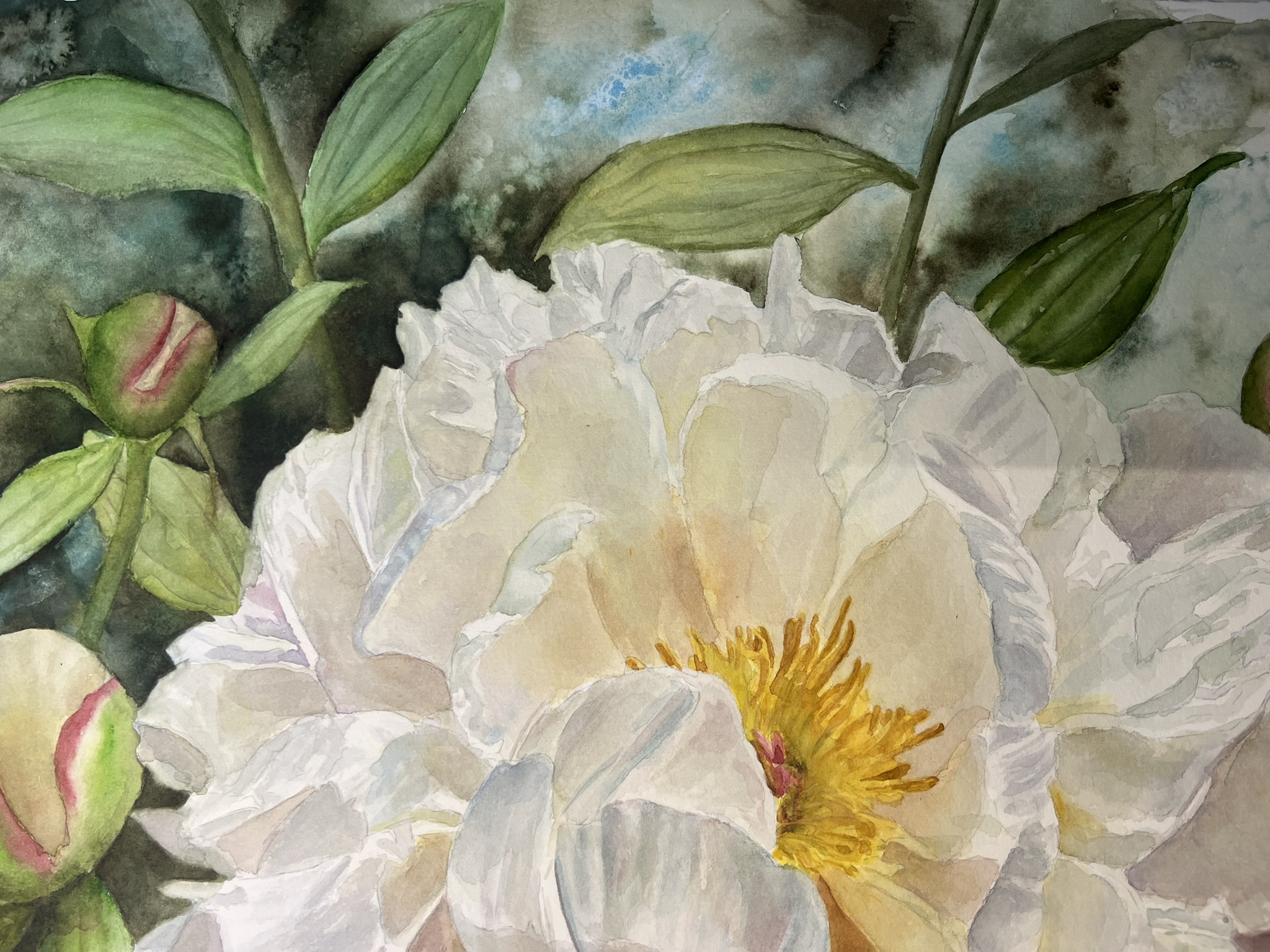 Wo Licht zur Blüte wird – Großformatiges Original-Aquarell einer weißen Pfingstrose – Bild 10
