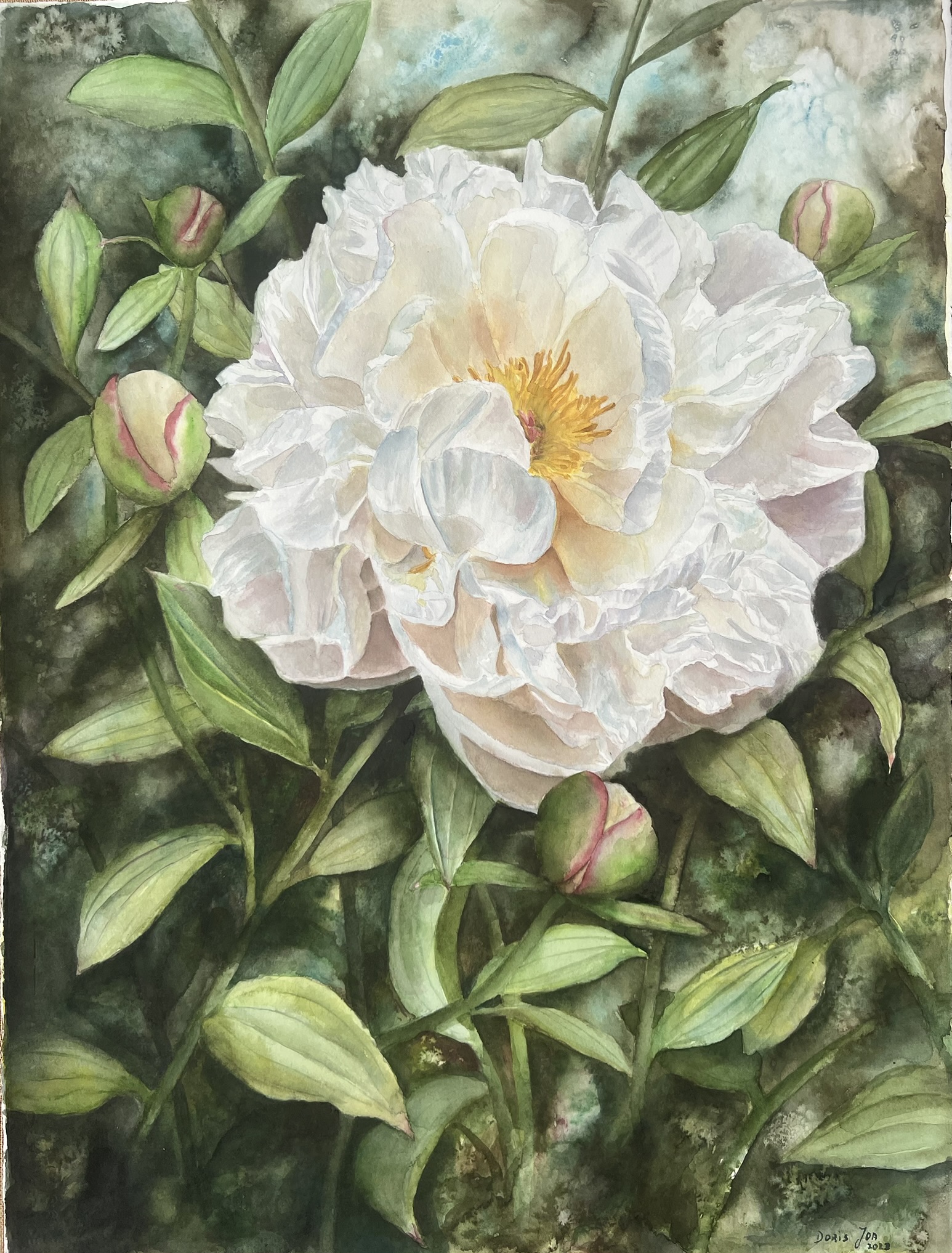 Wo Licht zur Blüte wird – Großformatiges Original-Aquarell einer weißen Pfingstrose – Bild 12