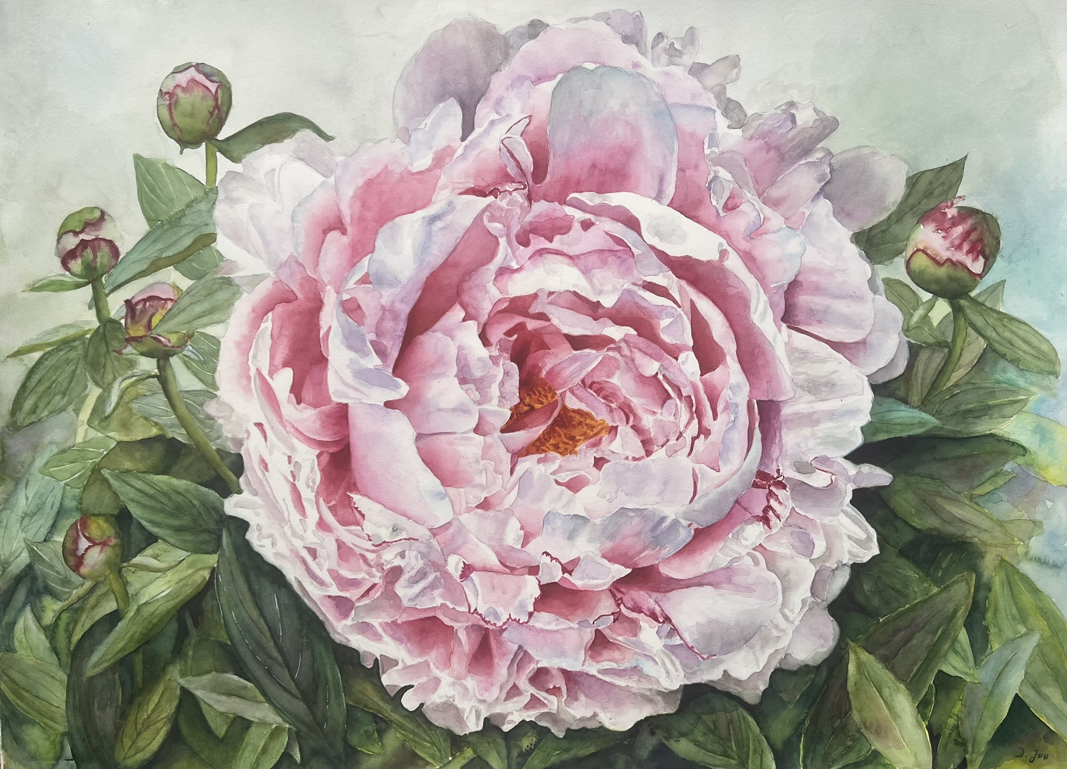 Ein Versprechen des Sommers – Großformatiges Original-Aquarell einer rosa Pfingstrose