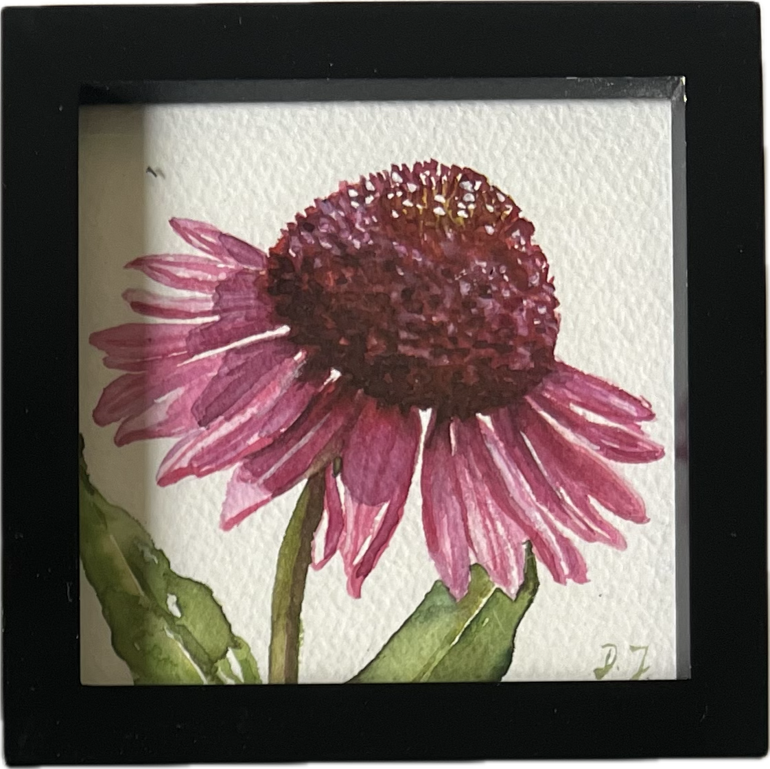 Pink Coneflower - pinker Sonnenhut in Aquarell - small watercolor painting