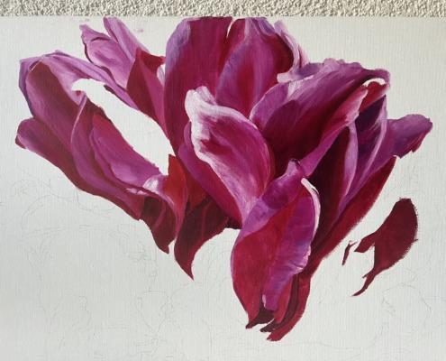 Pfingstrose in Öl - Ölmalerei - Work in progress