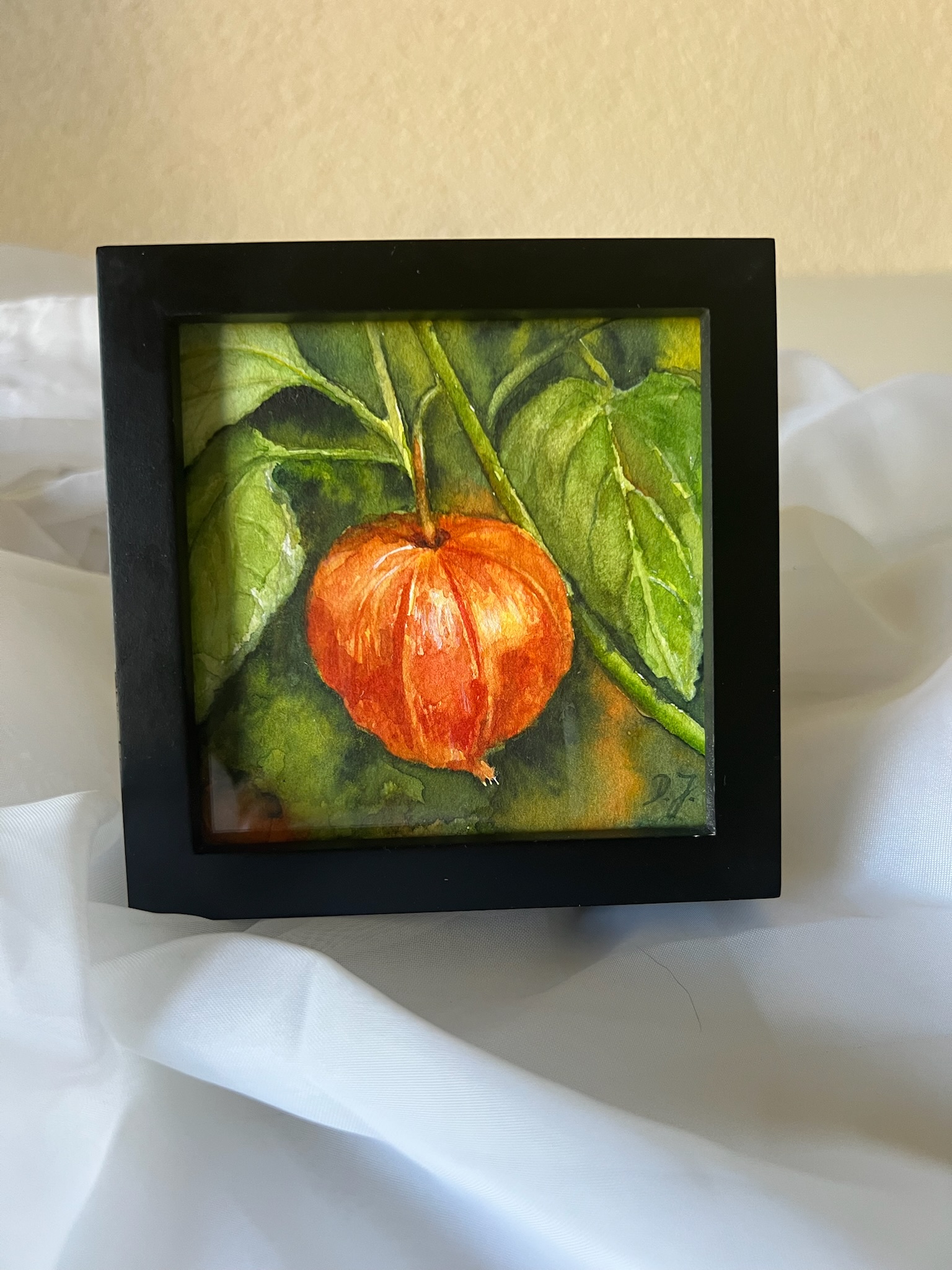 Little Floral Poem – Lampionblume – Bild 8