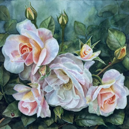 A Quiet Summer Moment, original watercolor of pale roses and two ladybirds by Doris Joa