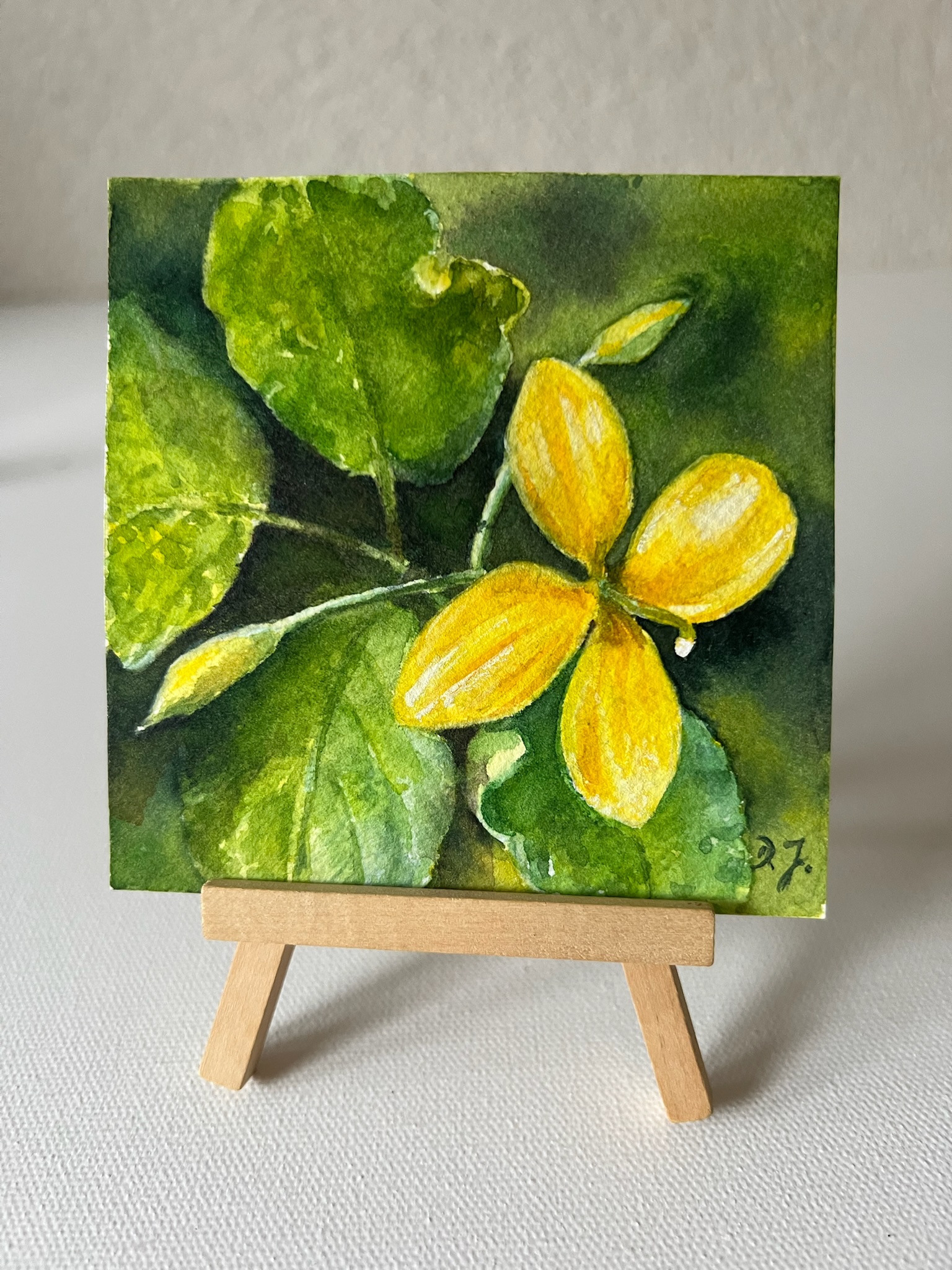 Little Floral Poem – Goldenes Schöllkraut – Bild 10