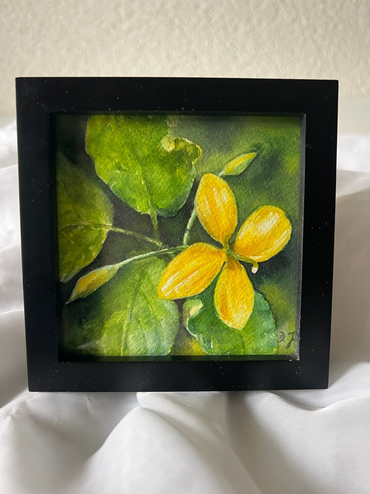 Little Floral Poem – Goldenes Schöllkraut – Bild 8