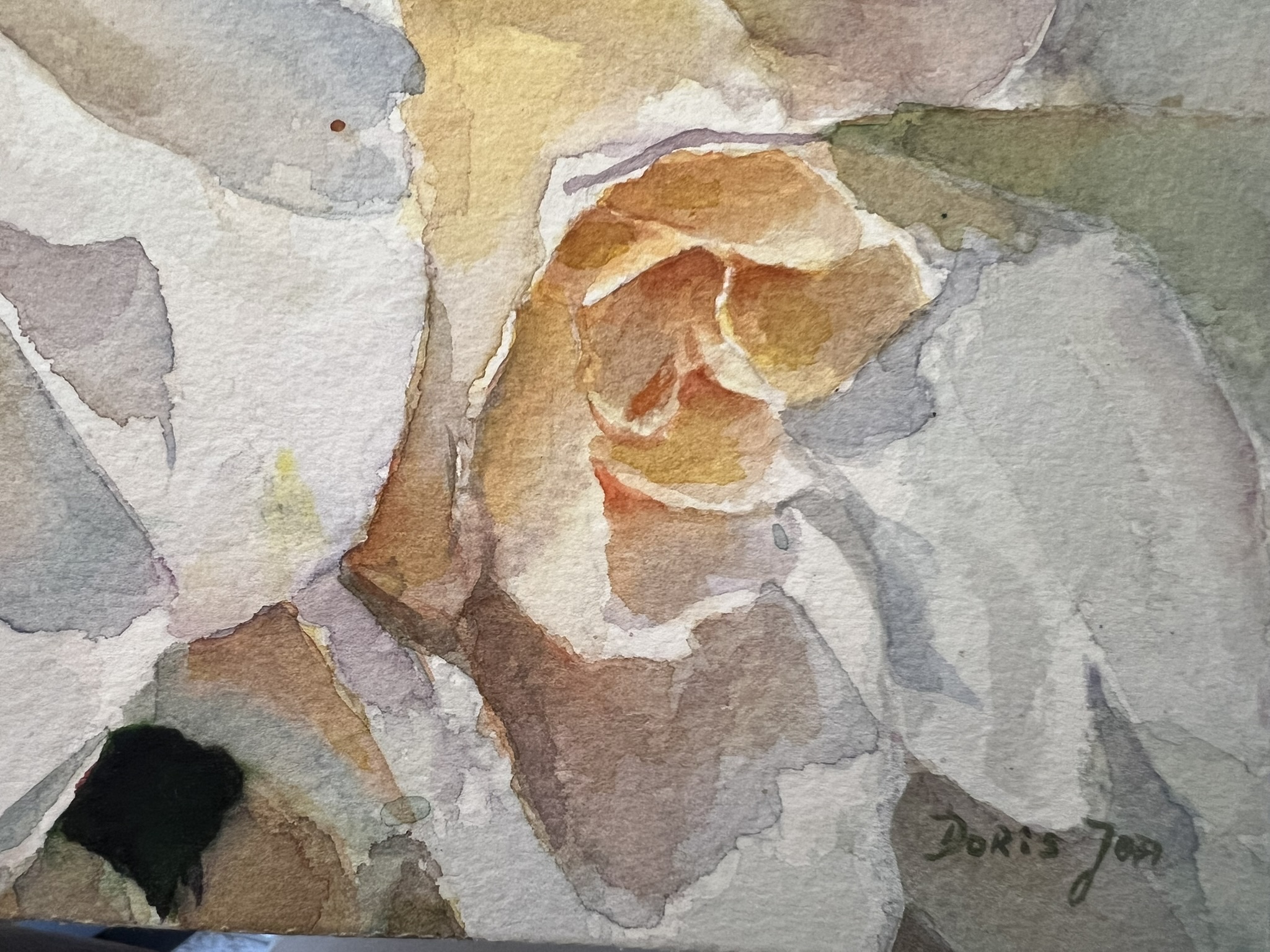 Doris Joa signature and warm apricot rosebud, close-up of the original white rose watercolor