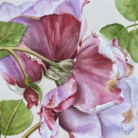 Lila Rose in satten Burgunder- und Violetttönen, Original-Aquarell