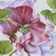 Lila Rose in satten Burgunder- und Violetttönen, Original-Aquarell