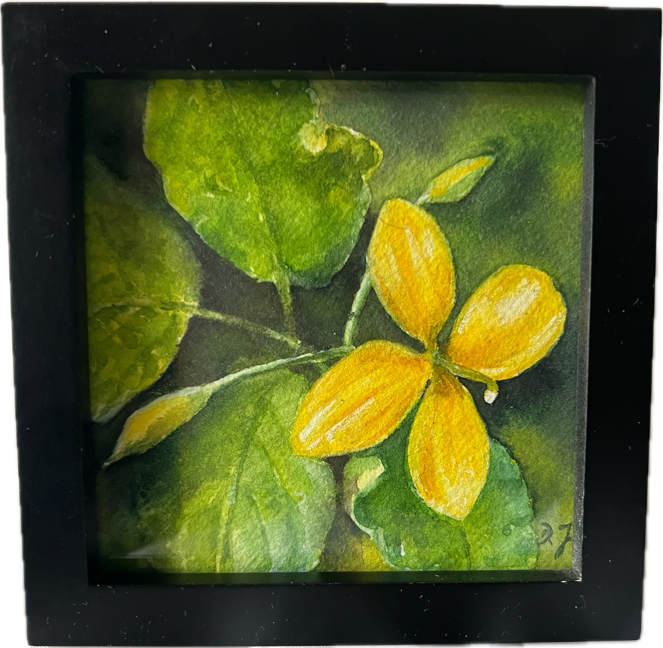Little Floral Poem – Goldenes Schöllkraut