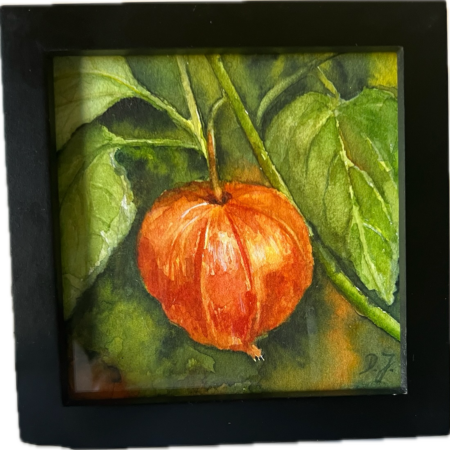 Lampionblume – Chinese Lantern – Kleines Blumenpoem – Aquarellbild
