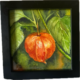 Lampionblume – Chinese Lantern – Kleines Blumenpoem – Aquarellbild