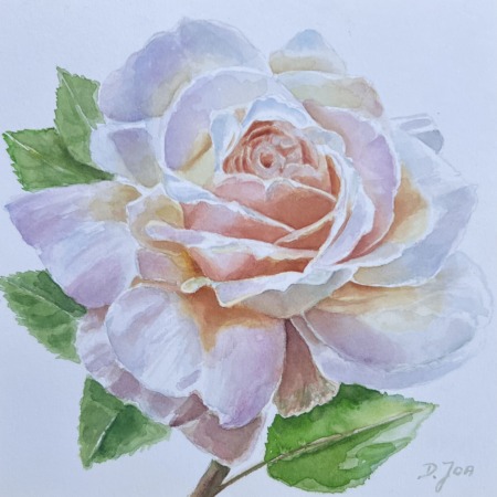 weiß-aprikosenfarbene Rose in Aquarell