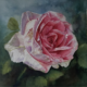 Pink rose watercolor by Doris Joa after the background was reworked with glazes and soft edges
